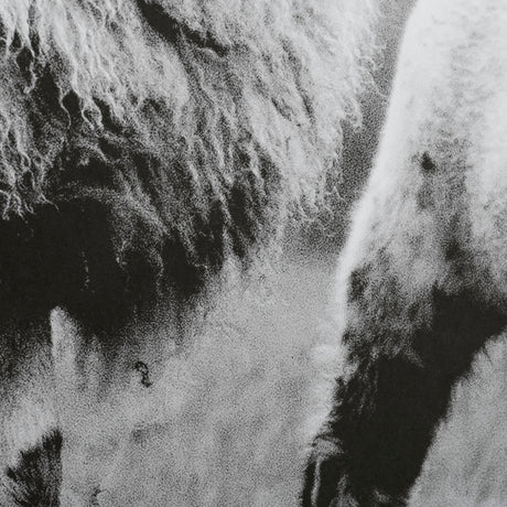 Islay Sheep I by Laura Marshall a Framed Photo Art Print Matted under Glass from Mercana - Luna Furniture