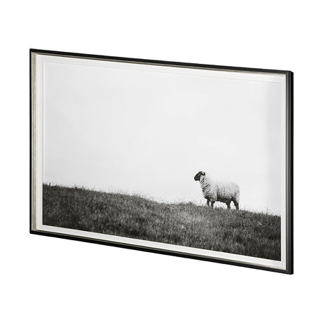 Islay Sheep II by Laura Marshall a Framed Photo Art Print Matted under Glass from Mercana - Luna Furniture