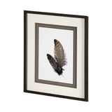 Feathered Friends by Nancy Crowell a Framed Art Print Matted under Glass from Mercana - Luna Furniture
