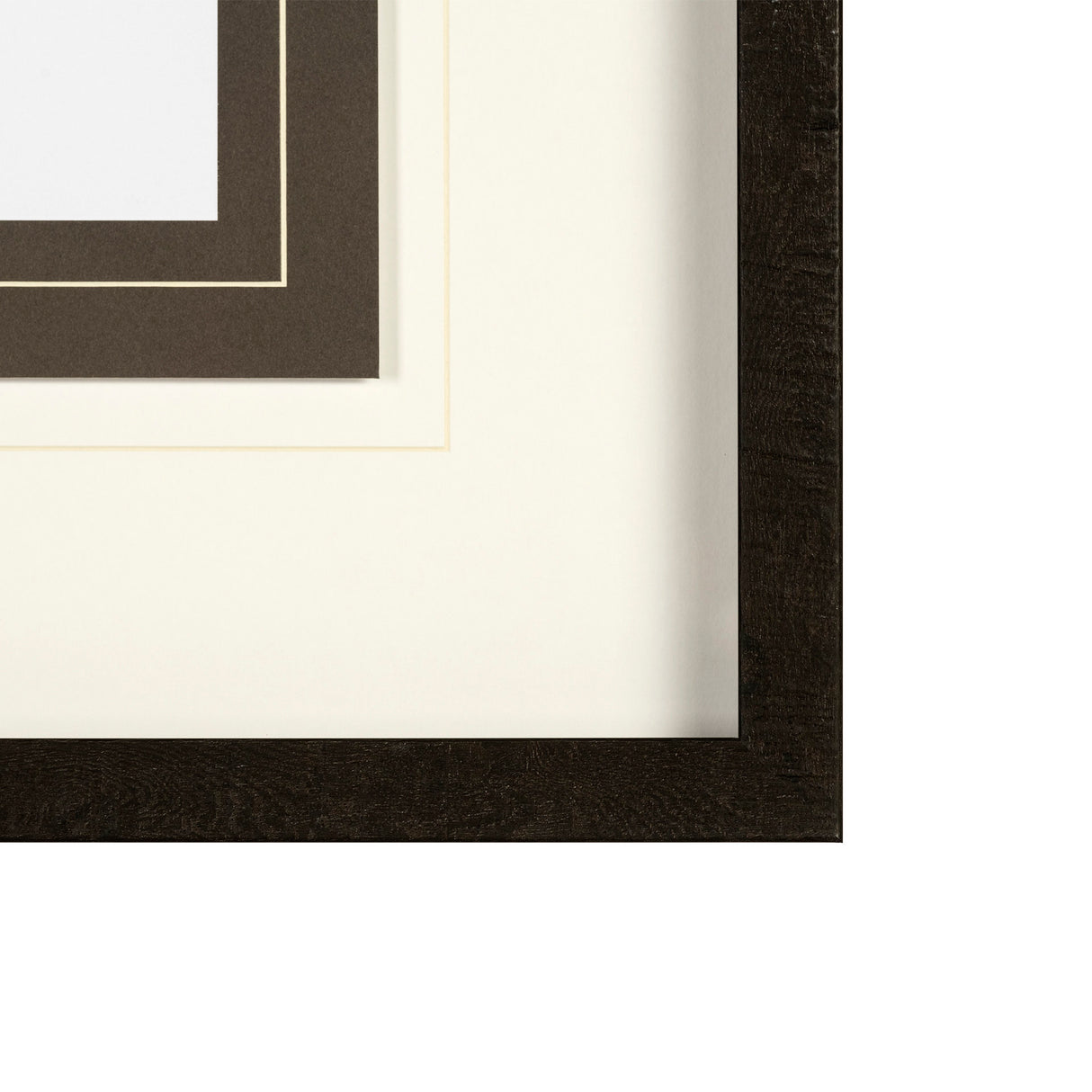 Feathered Friends by Nancy Crowell a Framed Art Print Matted under Glass from Mercana - Luna Furniture