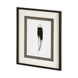 Flying solo by Nancy Crowell a Framed Art Print Matted under Glass from Mercana - Luna Furniture