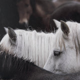 Custom White Horses (MC) by PH Burchett a Hand Embelished Textured Framed Photo Art Decograph from Mercana - Luna Furniture