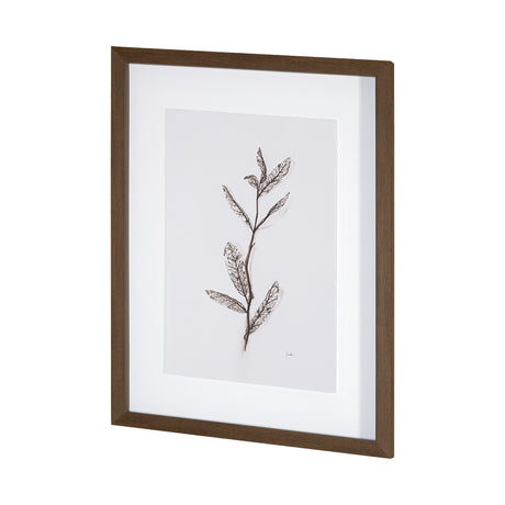 Olive Branch I by Gabrielle a Framed Art Print Matted under Glass from Mercana - Luna Furniture