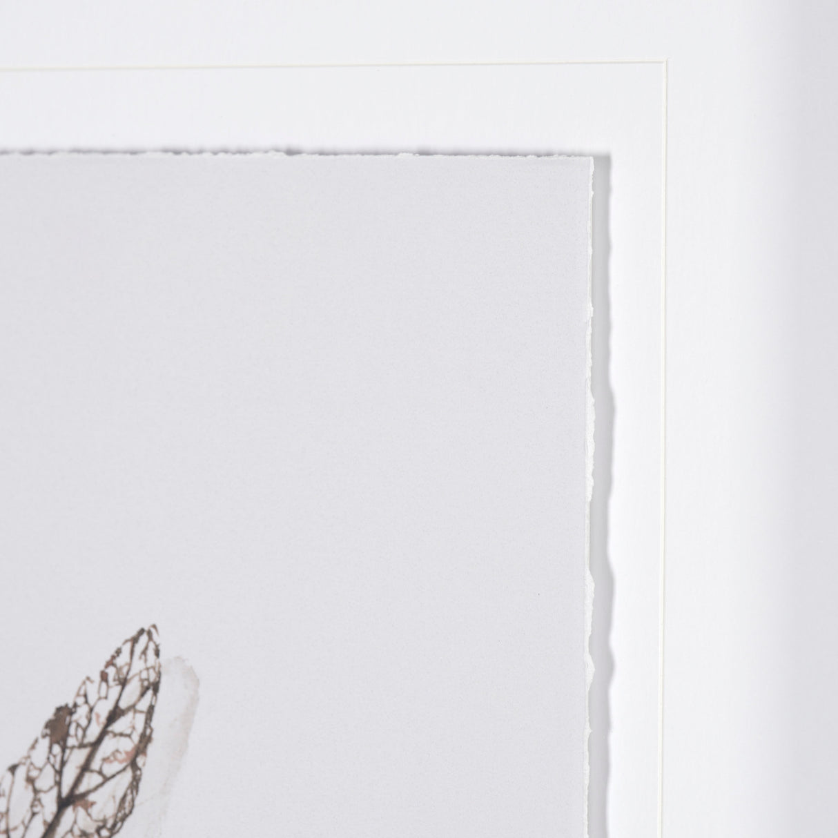 Olive Branch I by Gabrielle a Framed Art Print Matted under Glass from Mercana - Luna Furniture