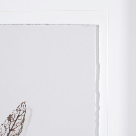 Olive Branch I by Gabrielle a Framed Art Print Matted under Glass from Mercana - Luna Furniture