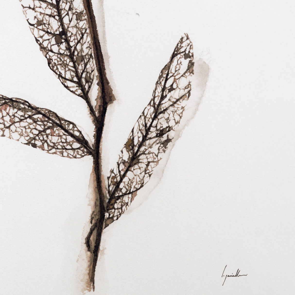 Olive Branch I by Gabrielle a Framed Art Print Matted under Glass from Mercana - Luna Furniture