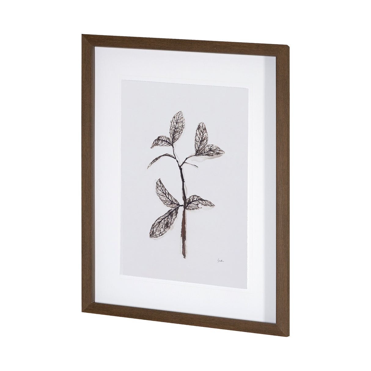 Olive Branch II by Gabrielle a Framed Art Print Matted under Glass from Mercana - Luna Furniture