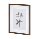 Olive Branch II by Gabrielle a Framed Art Print Matted under Glass from Mercana - Luna Furniture