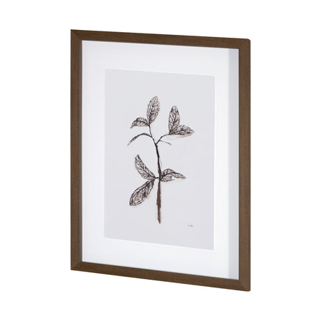 Olive Branch II by Gabrielle a Framed Art Print Matted under Glass from Mercana - Luna Furniture