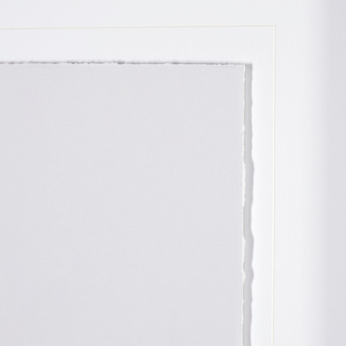 Olive Branch II by Gabrielle a Framed Art Print Matted under Glass from Mercana - Luna Furniture