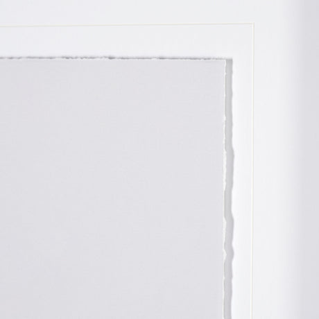 Olive Branch II by Gabrielle a Framed Art Print Matted under Glass from Mercana - Luna Furniture