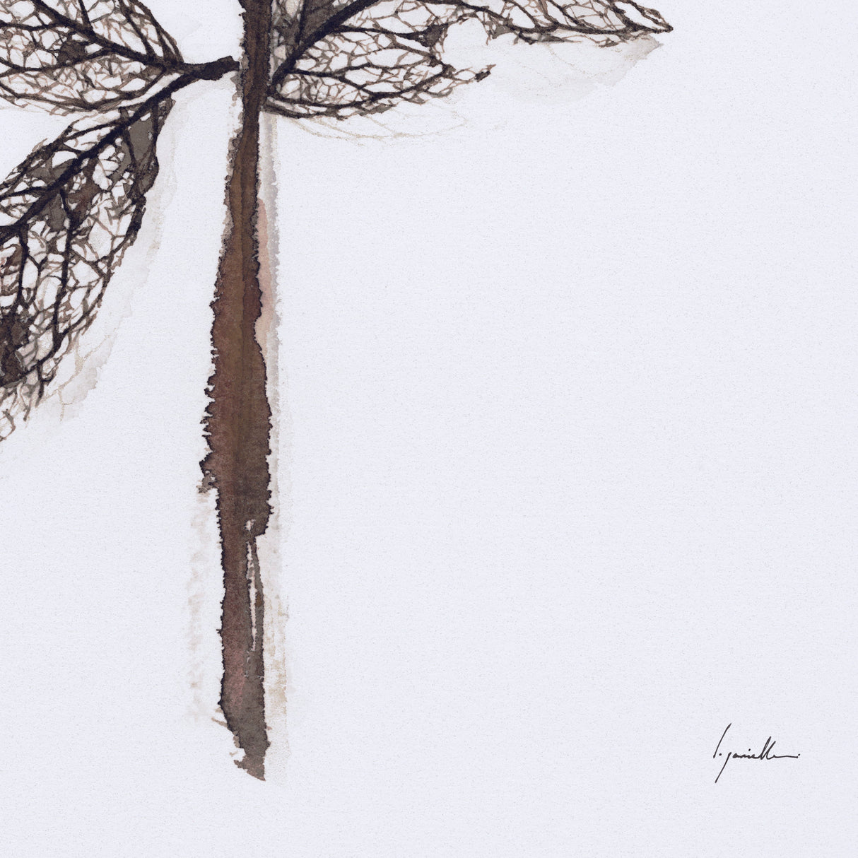 Olive Branch II by Gabrielle a Framed Art Print Matted under Glass from Mercana - Luna Furniture