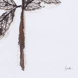 Olive Branch II by Gabrielle a Framed Art Print Matted under Glass from Mercana - Luna Furniture