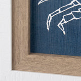 Dimegemess Crab I by Mercana Studio a Hand Embellished Textured Framed Art Print from Mercana - Luna Furniture