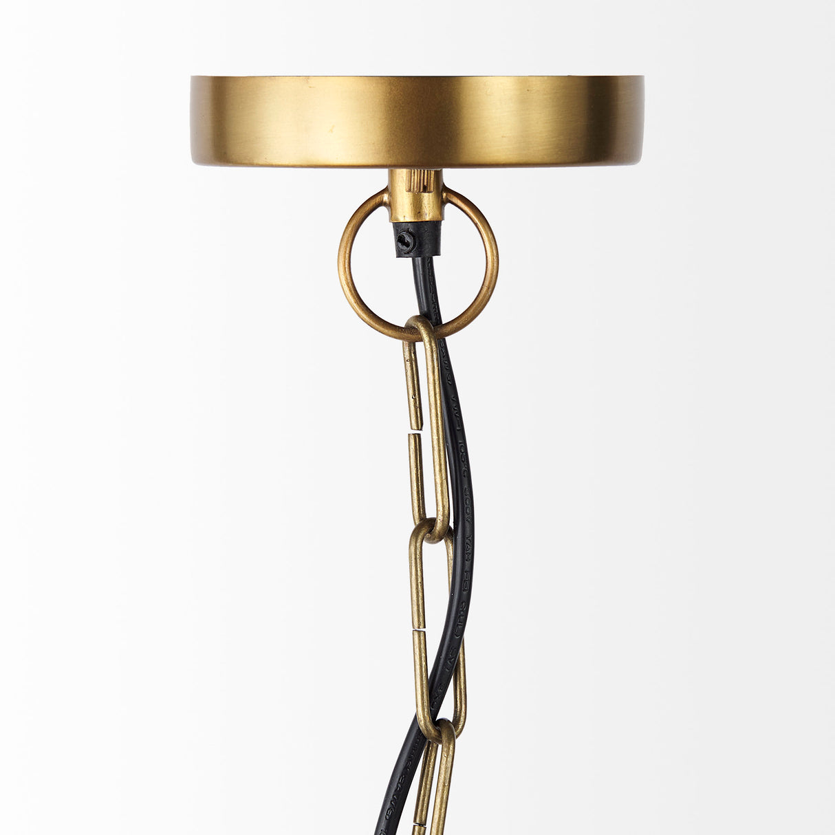 Fenton 18.0L x 18.0W x 23.0H Black W/Antiqued Gold Accents Pendant Light from Mercana - Luna Furniture