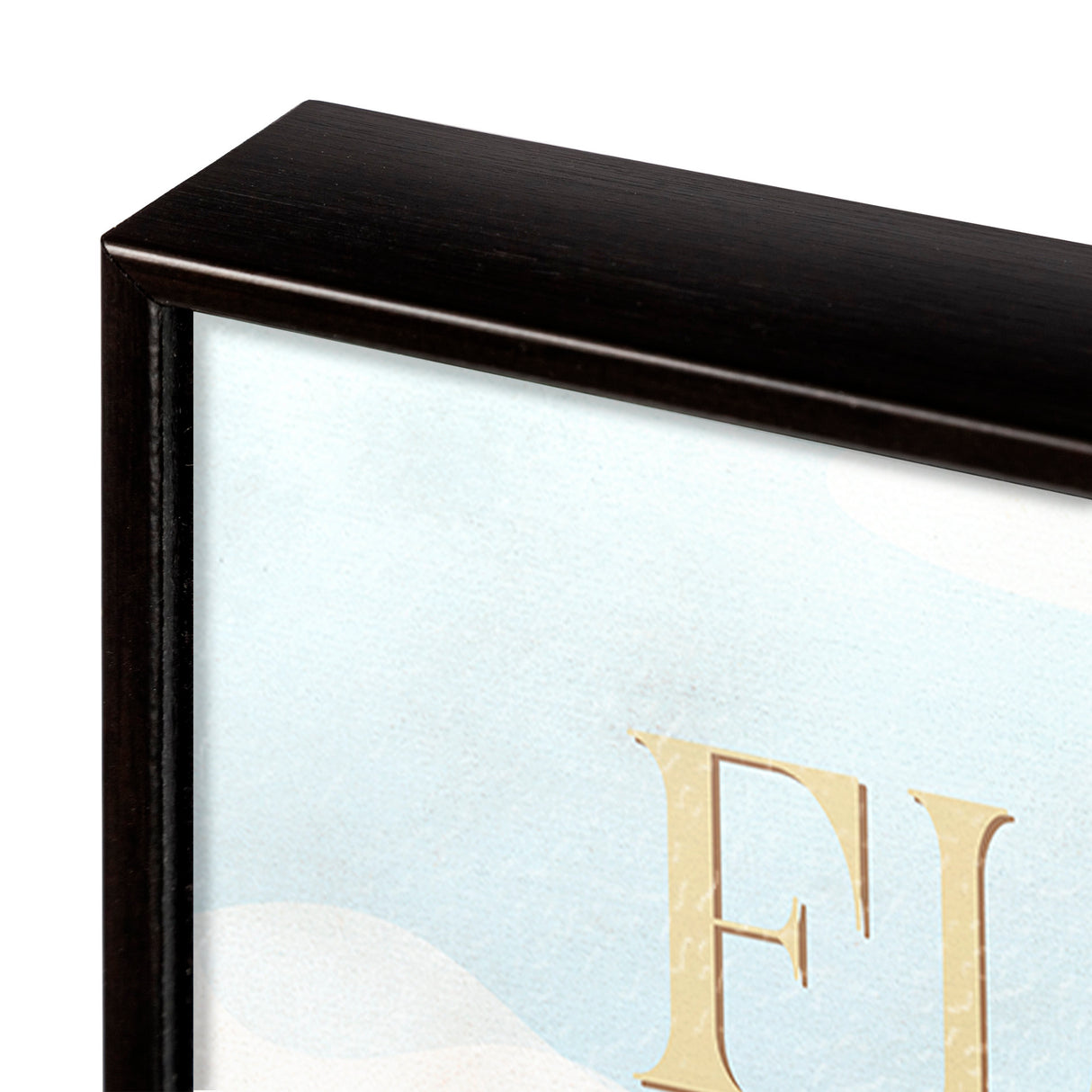 Florida Go USA (SM) by Mercana Studio a Hand Embellished Decograph Framed Art Print from Mercana - Luna Furniture