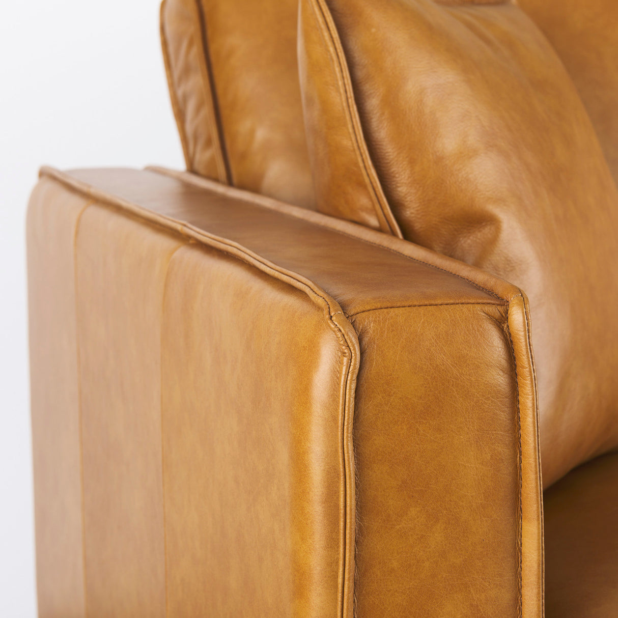 D'Arcy 65.0L x 37.0W x 34.0H Tan Leather Love Seat from Mercana - Luna Furniture
