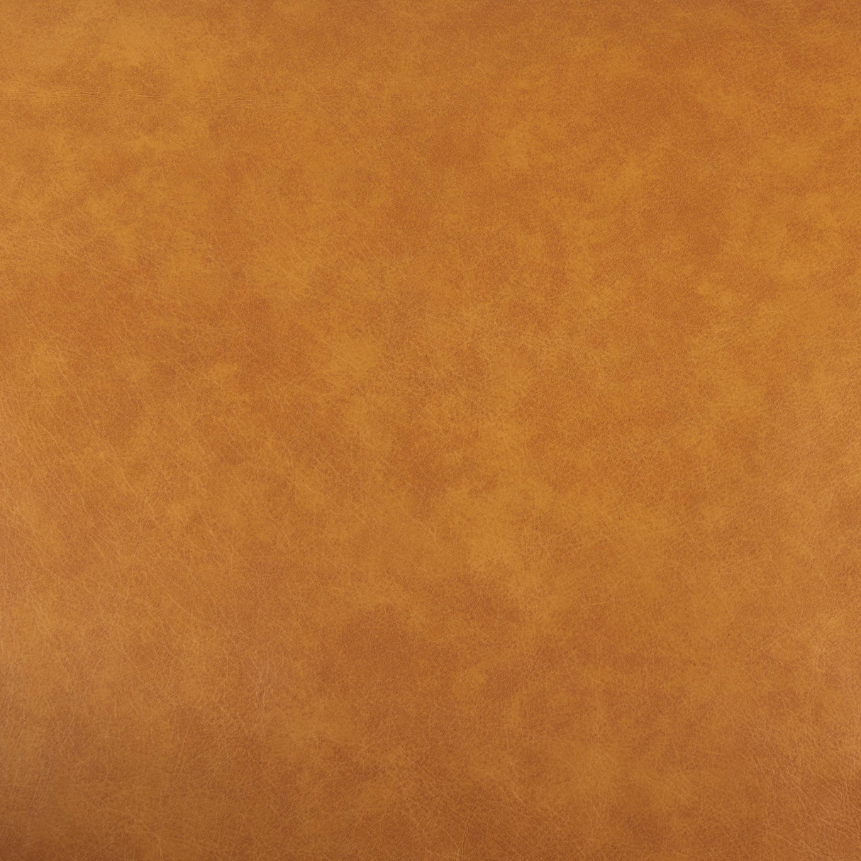 D'Arcy 65.0L x 37.0W x 34.0H Tan Leather Love Seat from Mercana - Luna Furniture