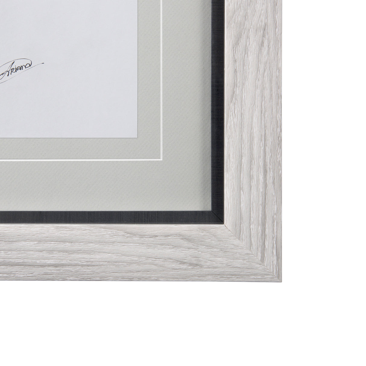 WildBerry Collection Hucklberry Mercana Studio Hand Embellished Framed Art Print Matted under Glass from Mercana - Luna Furniture