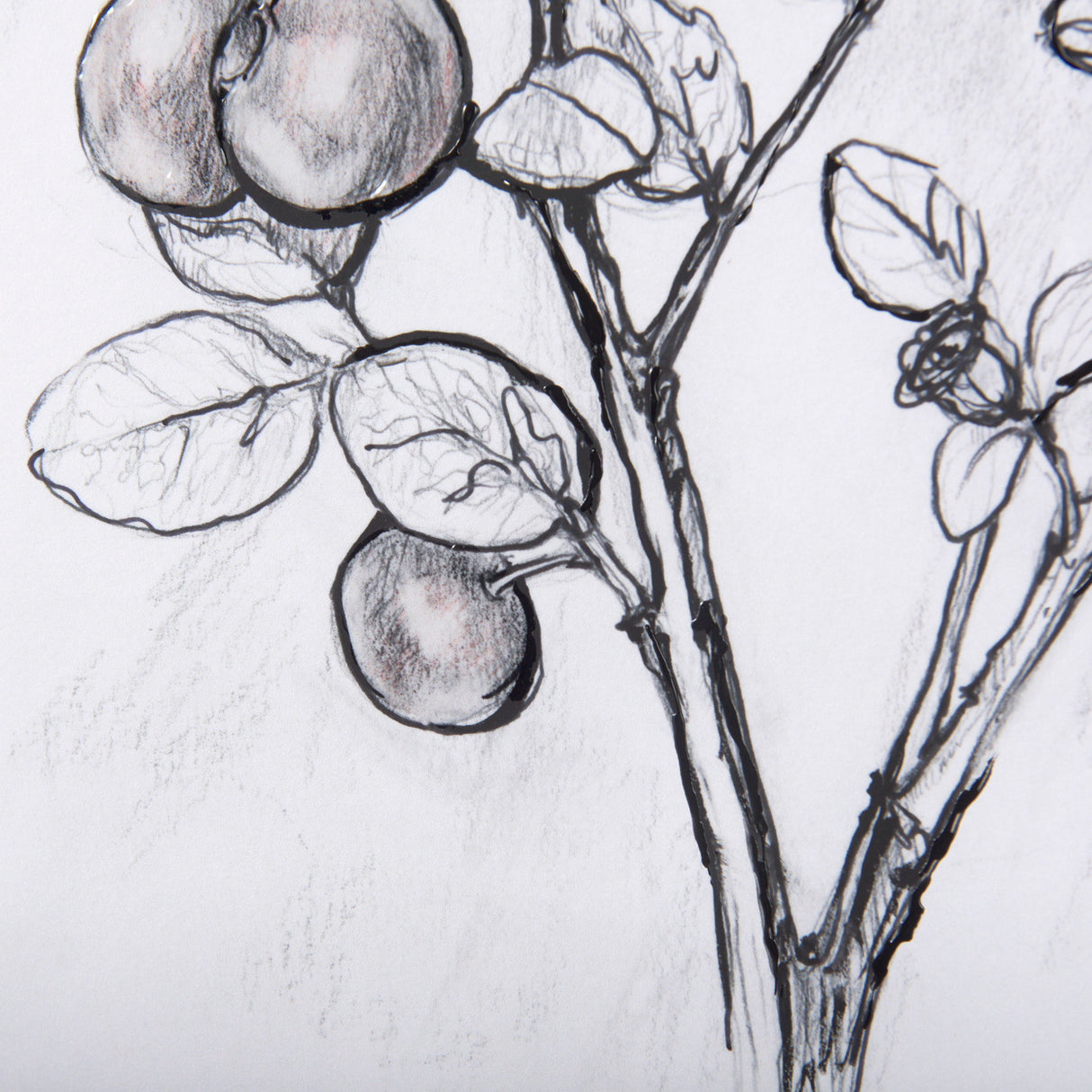 WildBerry Collection Hucklberry Mercana Studio Hand Embellished Framed Art Print Matted under Glass from Mercana - Luna Furniture