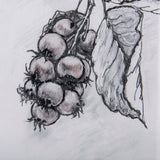 Saskatoonberry by Mercana Studio Hand Embellished Framed Art Print Matted under Glass from Mercana - Luna Furniture