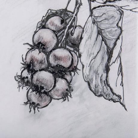 Saskatoonberry by Mercana Studio Hand Embellished Framed Art Print Matted under Glass from Mercana - Luna Furniture