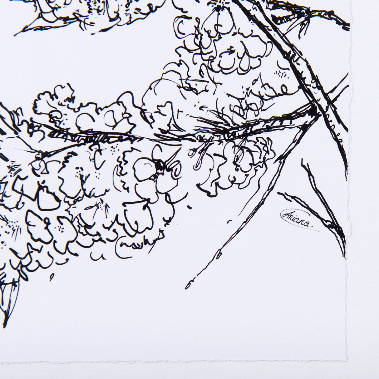 Spring Blooming V by Mercana Studio a Hand Embellished Textured Framed Art Print Matted under Glass from Mercana - Luna Furniture