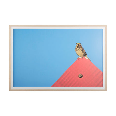 Morning Song by Mercana Studio a Hand Embellished Textured Framed Photo Art Print Matted under Glass from Mercana - Luna Furniture