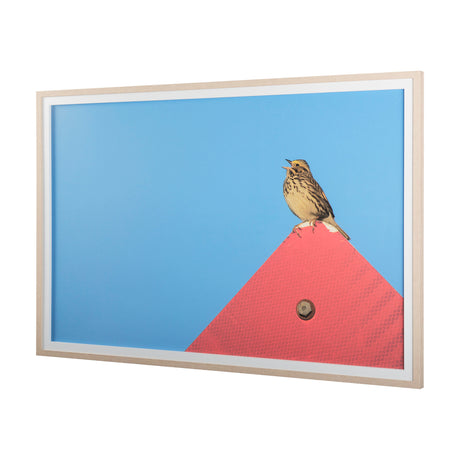 Morning Song by Mercana Studio a Hand Embellished Textured Framed Photo Art Print Matted under Glass from Mercana - Luna Furniture