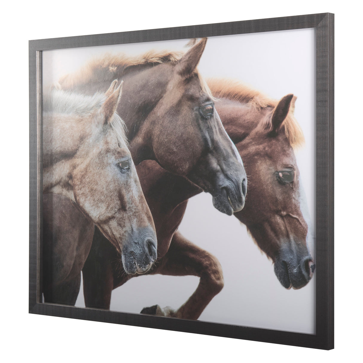 Bold Equine - Run by Mercana Studio a Hand Embellished Textured Framed Photo Art Print Matted under from Mercana - Luna Furniture