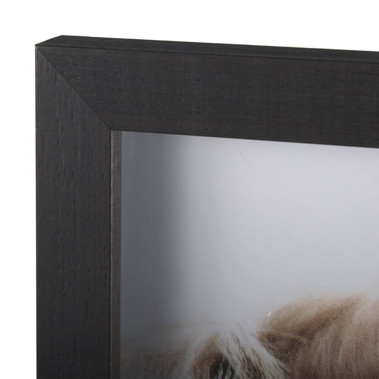 Bold Equine - Run by Mercana Studio a Hand Embellished Textured Framed Photo Art Print Matted under from Mercana - Luna Furniture