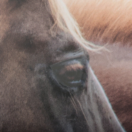 Bold Equine - Run by Mercana Studio a Hand Embellished Textured Framed Photo Art Print Matted under from Mercana - Luna Furniture