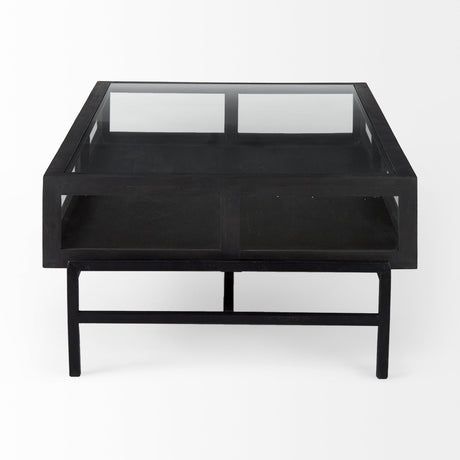 Arelius 42"L Rectangular Glass-Top Black-Brown Wood w/ Black Metal Base Display Coffee Table from Mercana - Luna Furniture