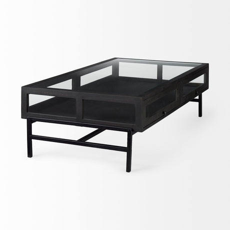 Arelius 42"L Rectangular Glass-Top Black-Brown Wood w/ Black Metal Base Display Coffee Table from Mercana - Luna Furniture