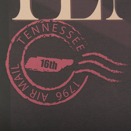 Tennessee Go USA (XL) by Mercana Studio a Hand Embellished Decograph Framed Art Print under Glass from Mercana - Luna Furniture