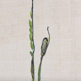 Meadow flowers III by Mercana Studio a Hand Embellished Textured Canvas from Mercana - Luna Furniture