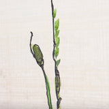 Meadow flowers by Mercana Studio a Hand Embellished Textured Canvas from Mercana - Luna Furniture