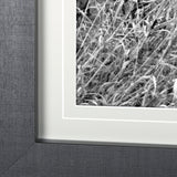 Grey & White Barn Ii by Mercana Studio Hand Embellished Textured Framed Photo Art Print Matted under from Mercana - Luna Furniture