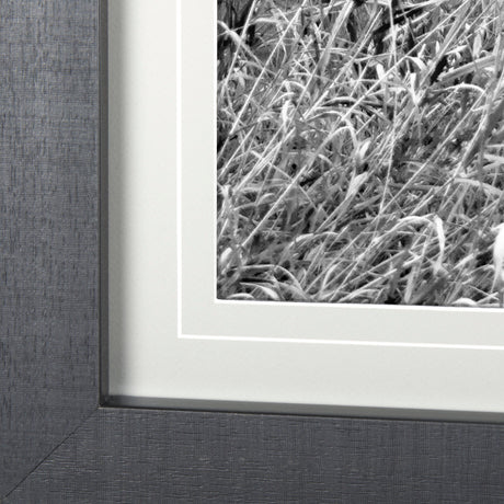 Grey & White Barn Ii by Mercana Studio Hand Embellished Textured Framed Photo Art Print Matted under from Mercana - Luna Furniture