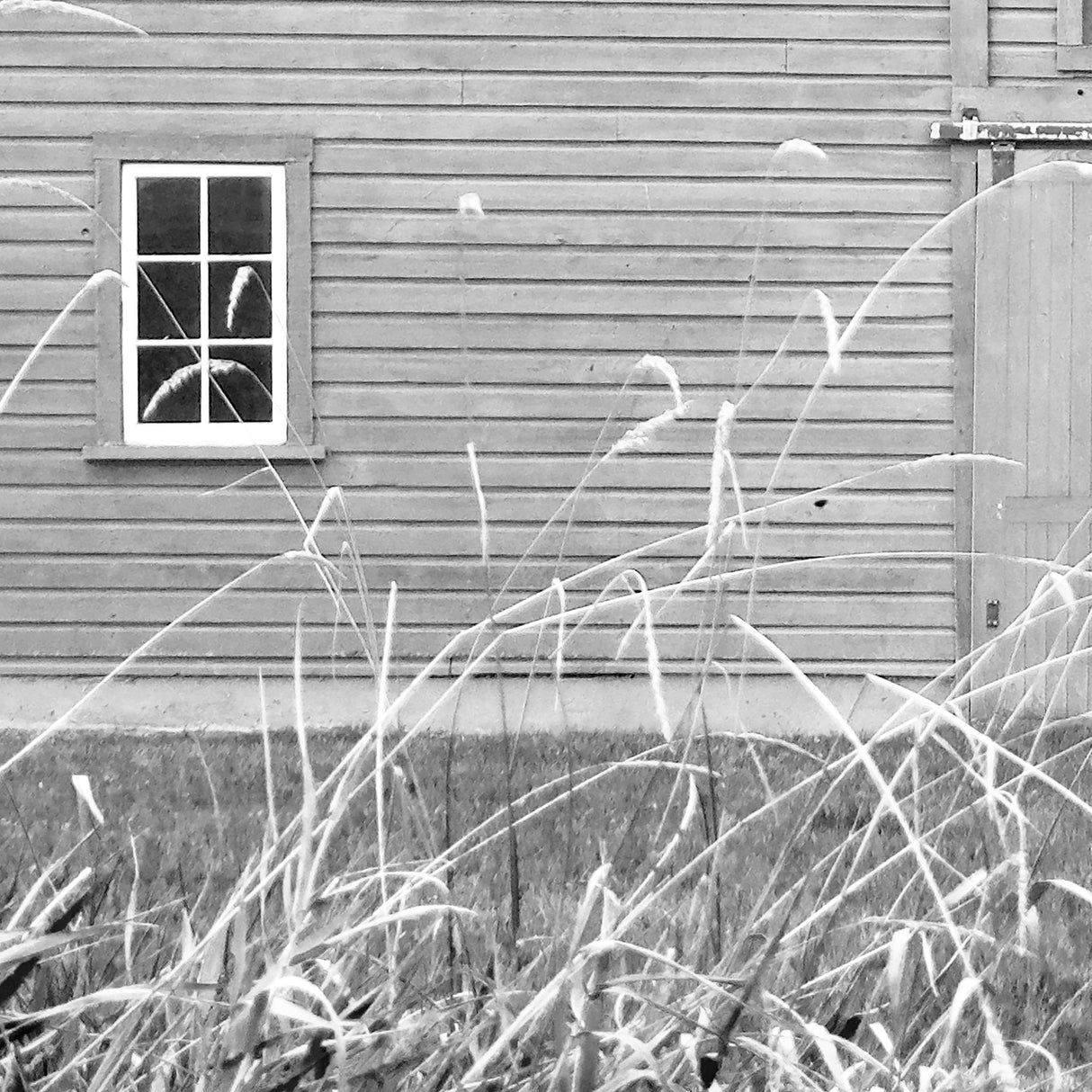 Grey & White Barn Ii by Mercana Studio Hand Embellished Textured Framed Photo Art Print Matted under from Mercana - Luna Furniture