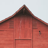 Red Barn I by Mercana Studio a Hand Embellished Textured Framed Photo Art Print Matted under Glass from Mercana - Luna Furniture