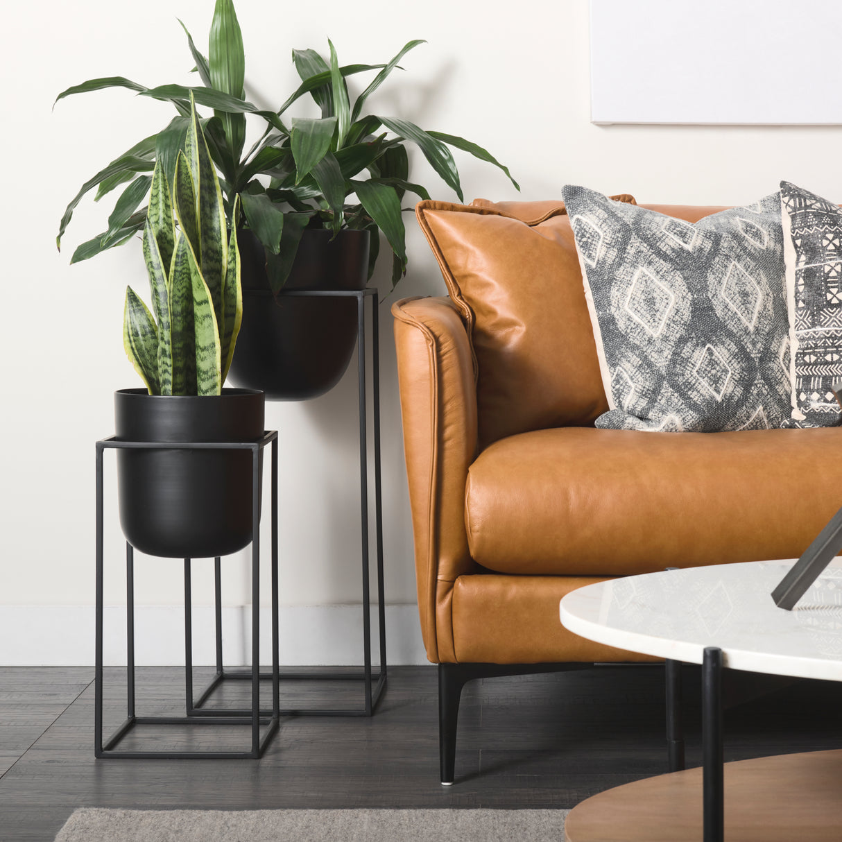 Bumble (Set of 2) 12L x 12W x 32H Black Plant Stands from Mercana - Luna Furniture