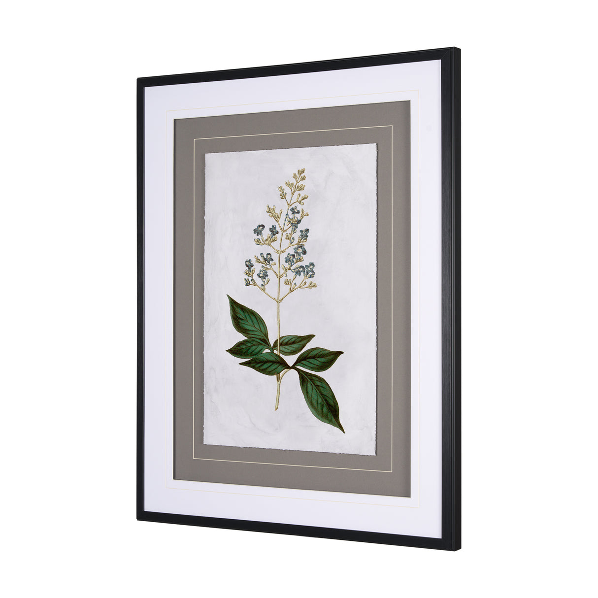 Soft Blue Botanoicals IV by Mercana Studio Hand Embellished Framed Art Print Matted under Glass from Mercana - Luna Furniture