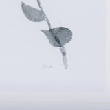 Leaf Shadow III by Mercana Studio a Hand Embellished Textured Framed Art Print Matted under Glass from Mercana - Luna Furniture