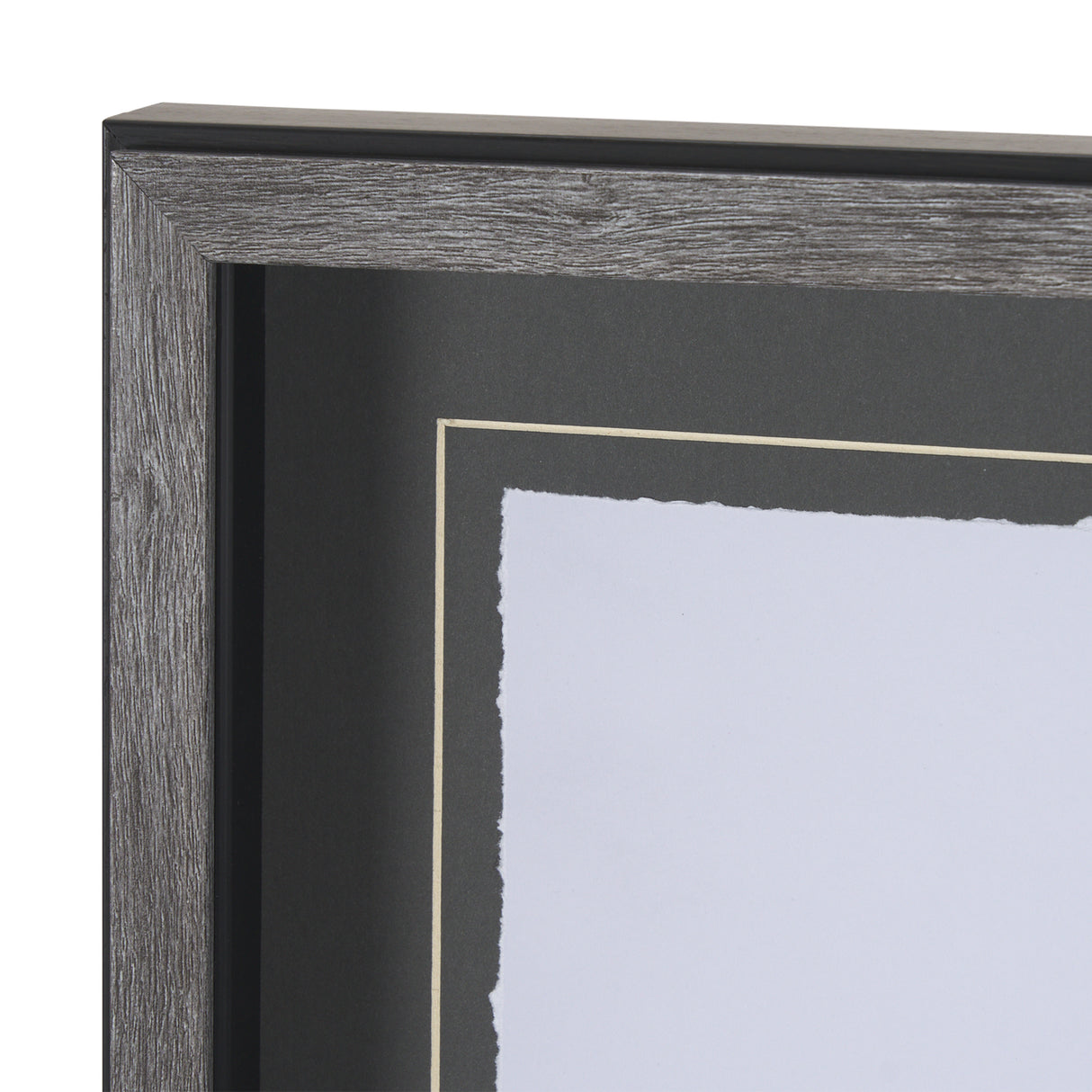 Robin BW I by Mercana Studio a Hand Embellished Textured Framed Art Print Matted under Glass from Mercana - Luna Furniture