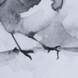 Robin BW I by Mercana Studio a Hand Embellished Textured Framed Art Print Matted under Glass from Mercana - Luna Furniture