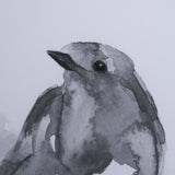Robin BW I by Mercana Studio a Hand Embellished Textured Framed Art Print Matted under Glass from Mercana - Luna Furniture