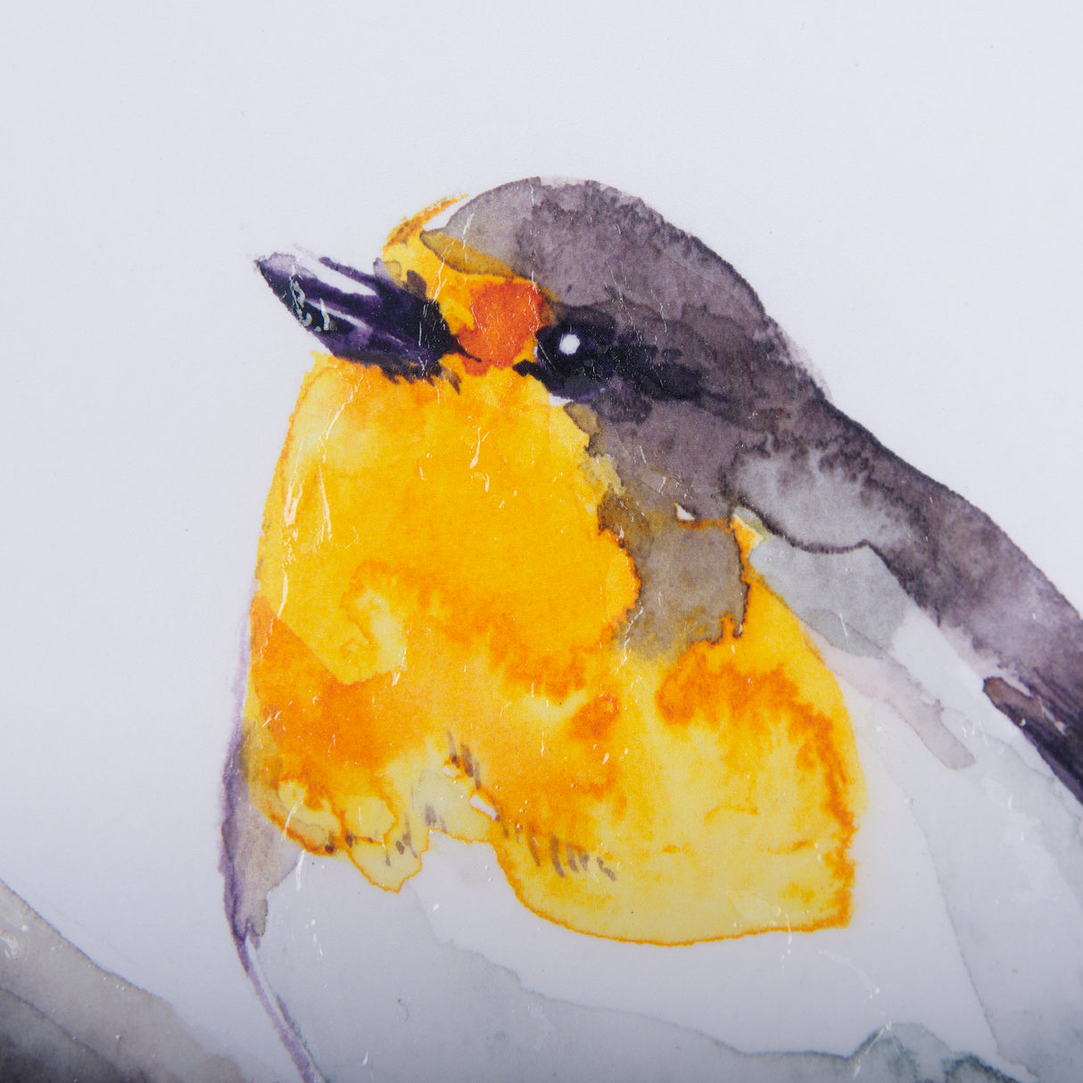Robin I by Mercana Studio a Hand Embellished Textured Framed Art Print Matted under Glass from Mercana - Luna Furniture
