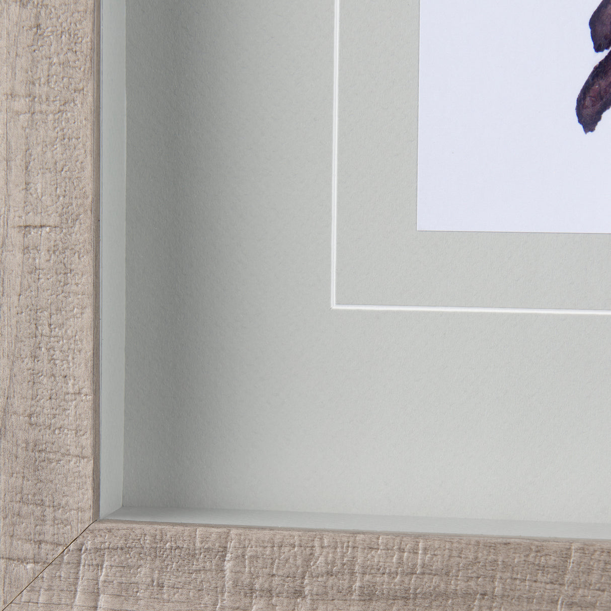 Robin II by Mercana Studio a Hand Embellished Textured Framed Art Print Matted under Glass from Mercana - Luna Furniture
