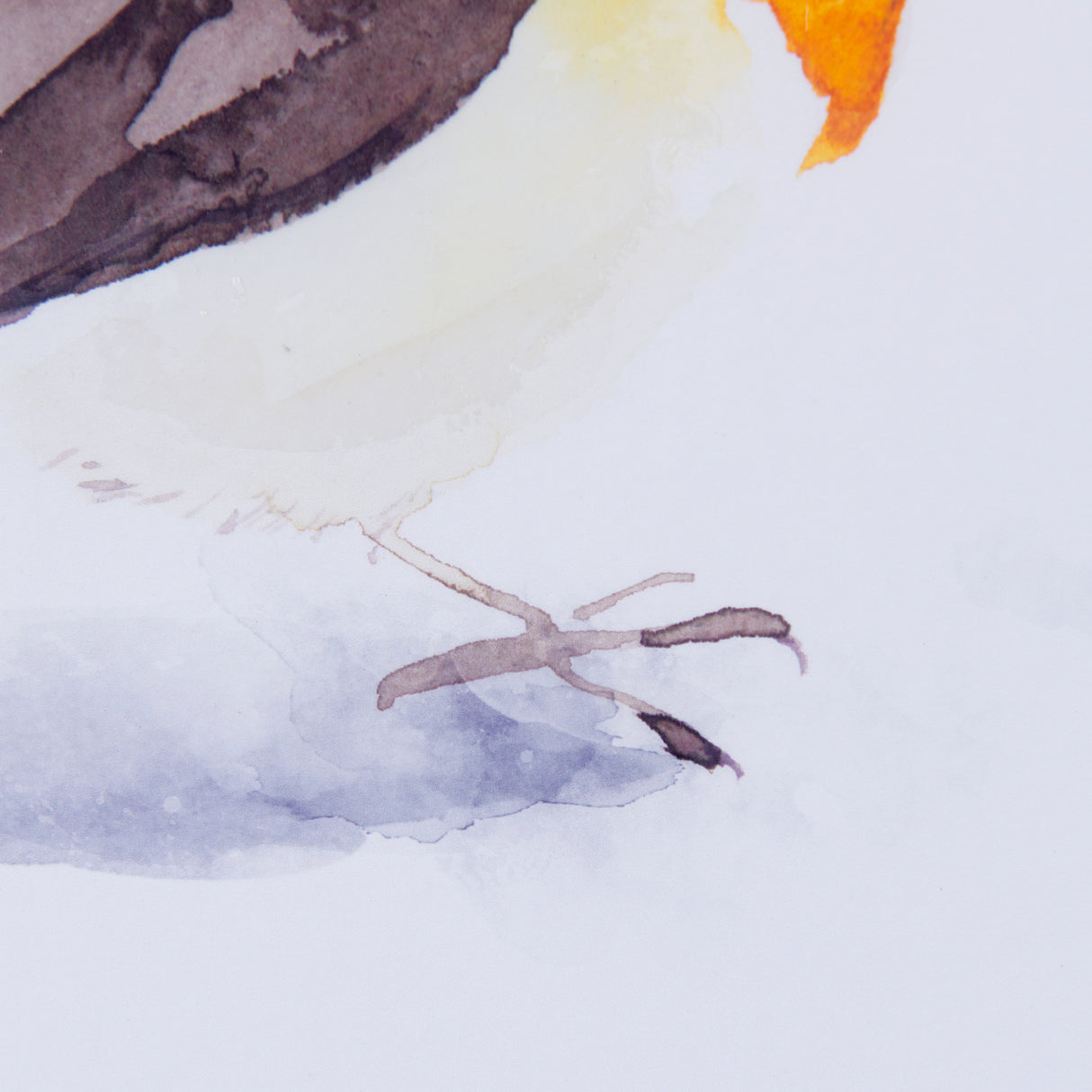 Robin II by Mercana Studio a Hand Embellished Textured Framed Art Print Matted under Glass from Mercana - Luna Furniture